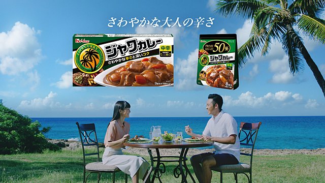 好感度抜群！ジャワカレーのCMに夫婦で出演した芸能人まとめ